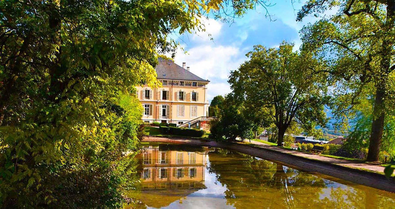 Appart'Hotel Chaleureux Au Coeur De Tullins - Le Roitelet Bagian luar foto